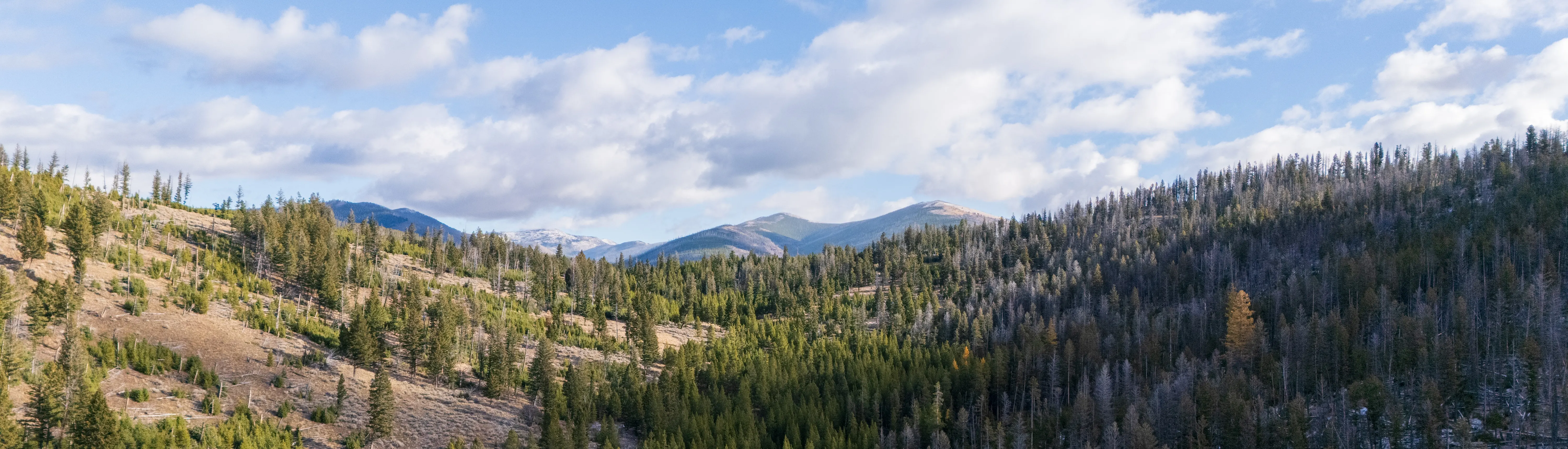 Forested hills near Copper Creek, Montana