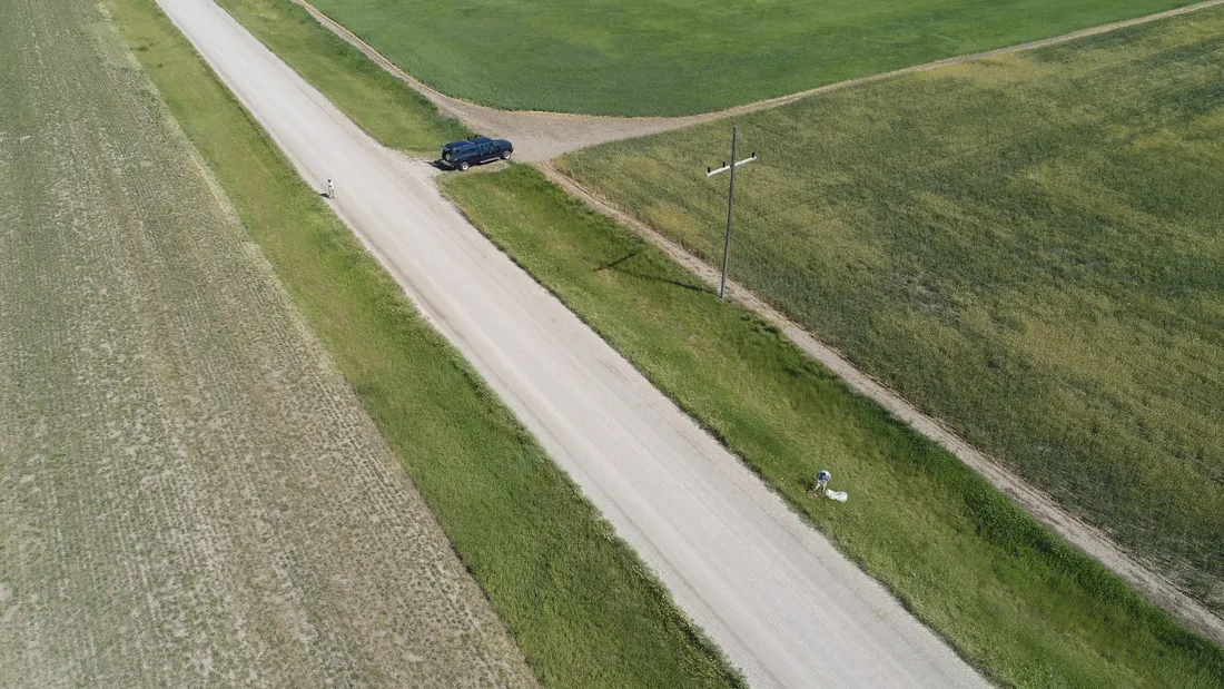 Aerial view of wheat fields with smooth brome strips along a road