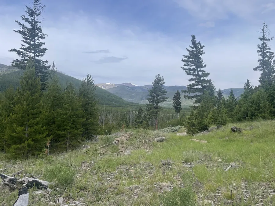 Copper Creek field site