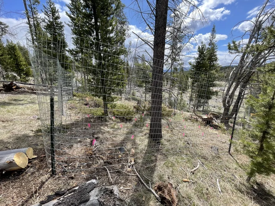 Elk Park field site