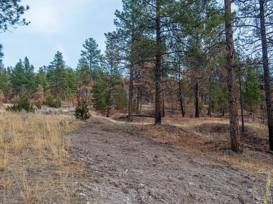 Horse Gulch Fire field site