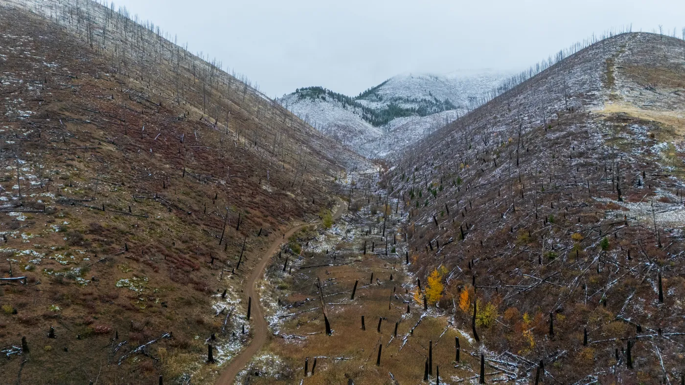Hunter's Gulch