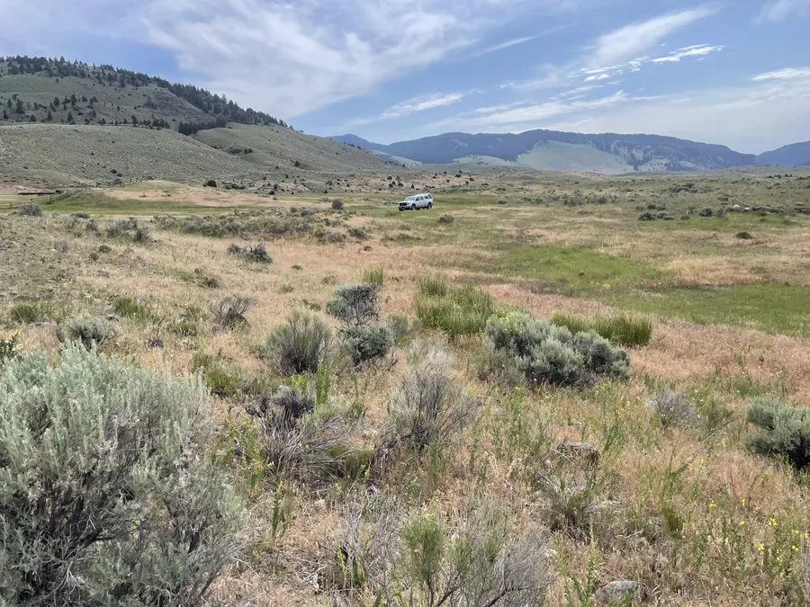 Phelps Creek field site
