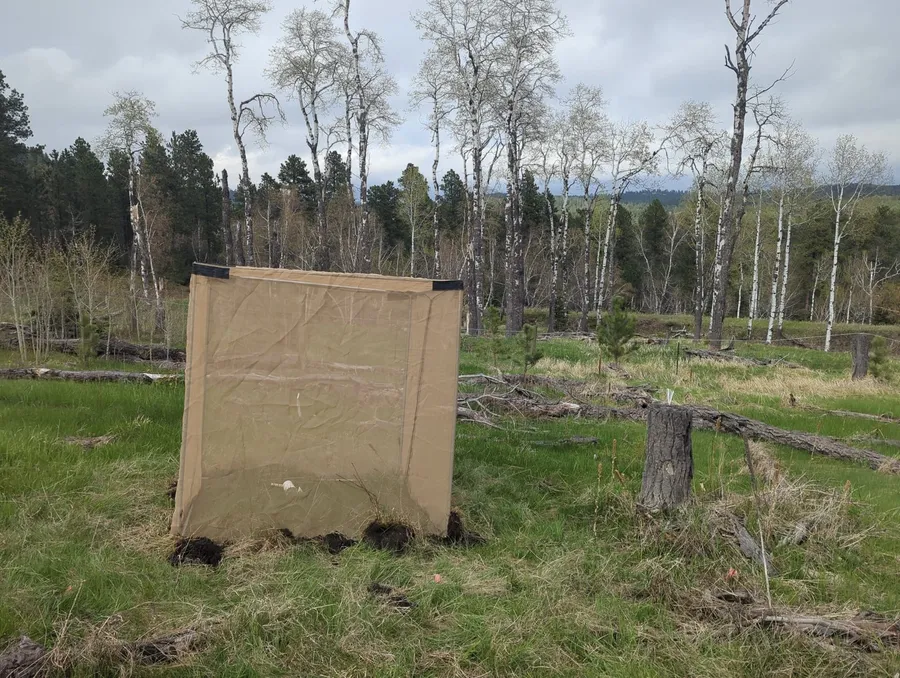 Sawyer field site