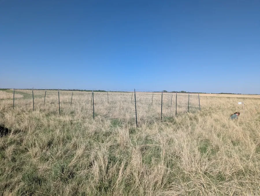 Schaunaman Ranch field site