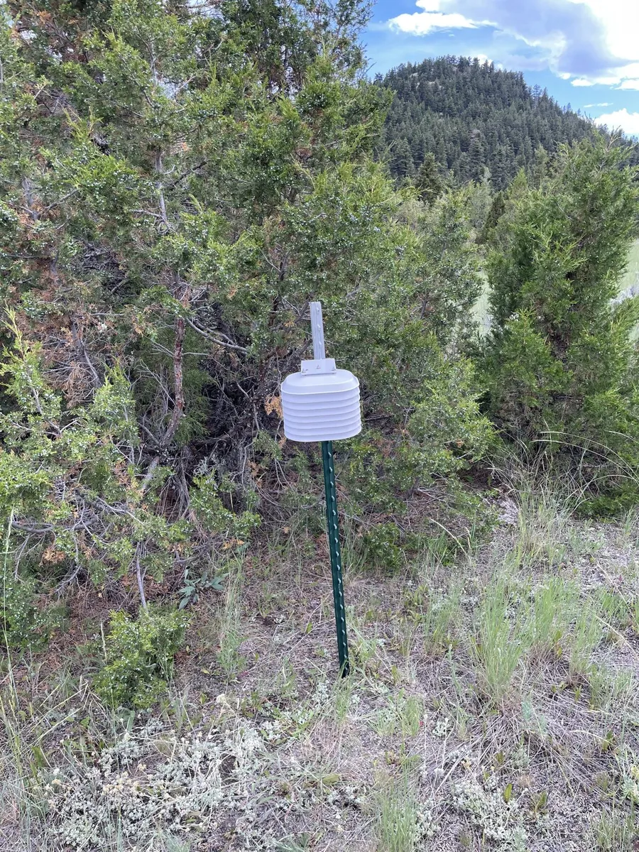 Slim Sam Creek field site