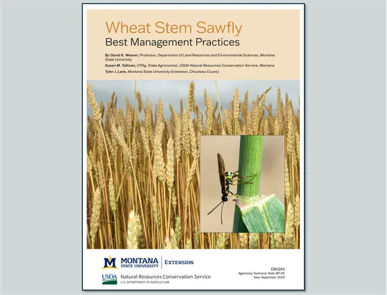 Cover of the Wheat Stem Sawfly Best Management Practices brochure