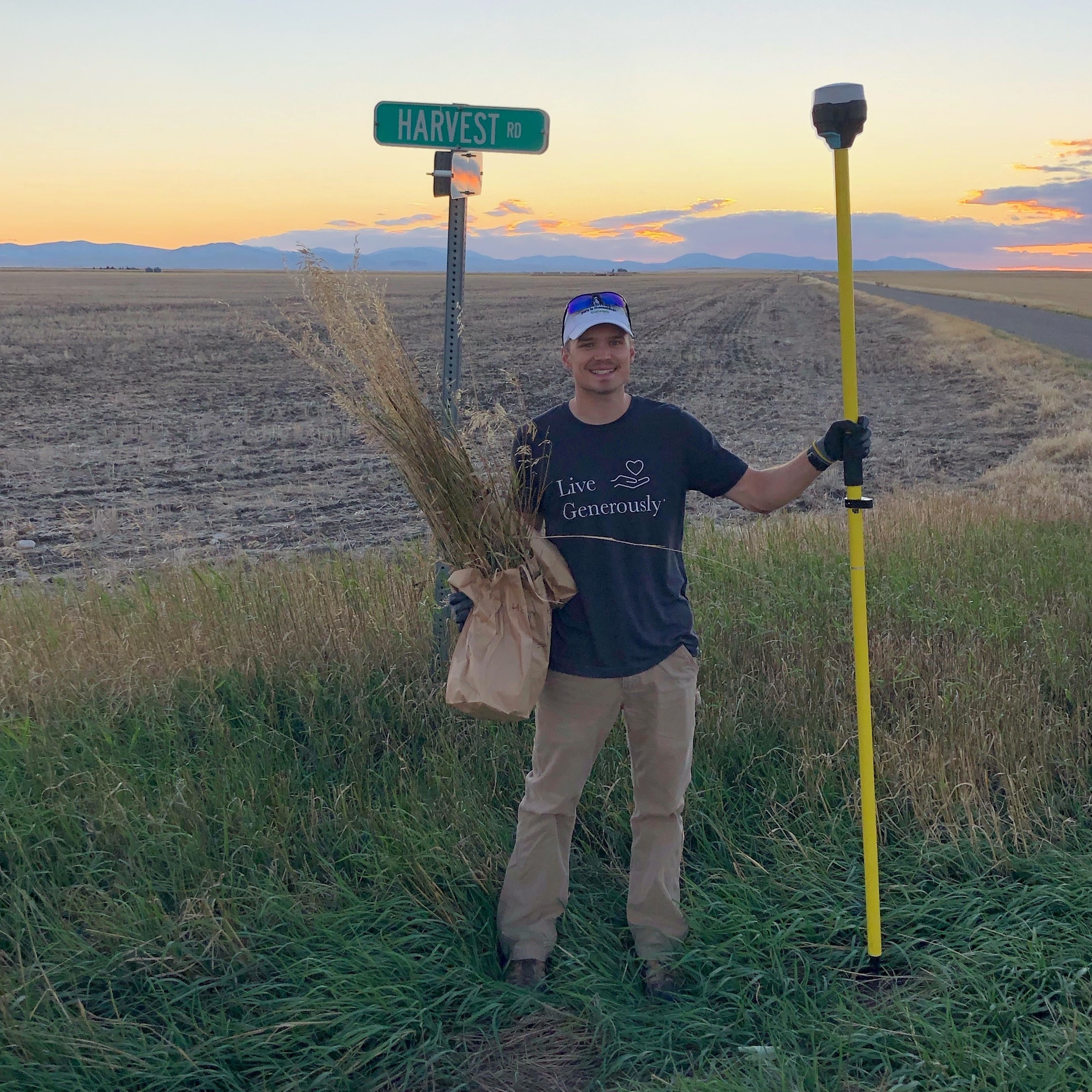 Smooth brome research