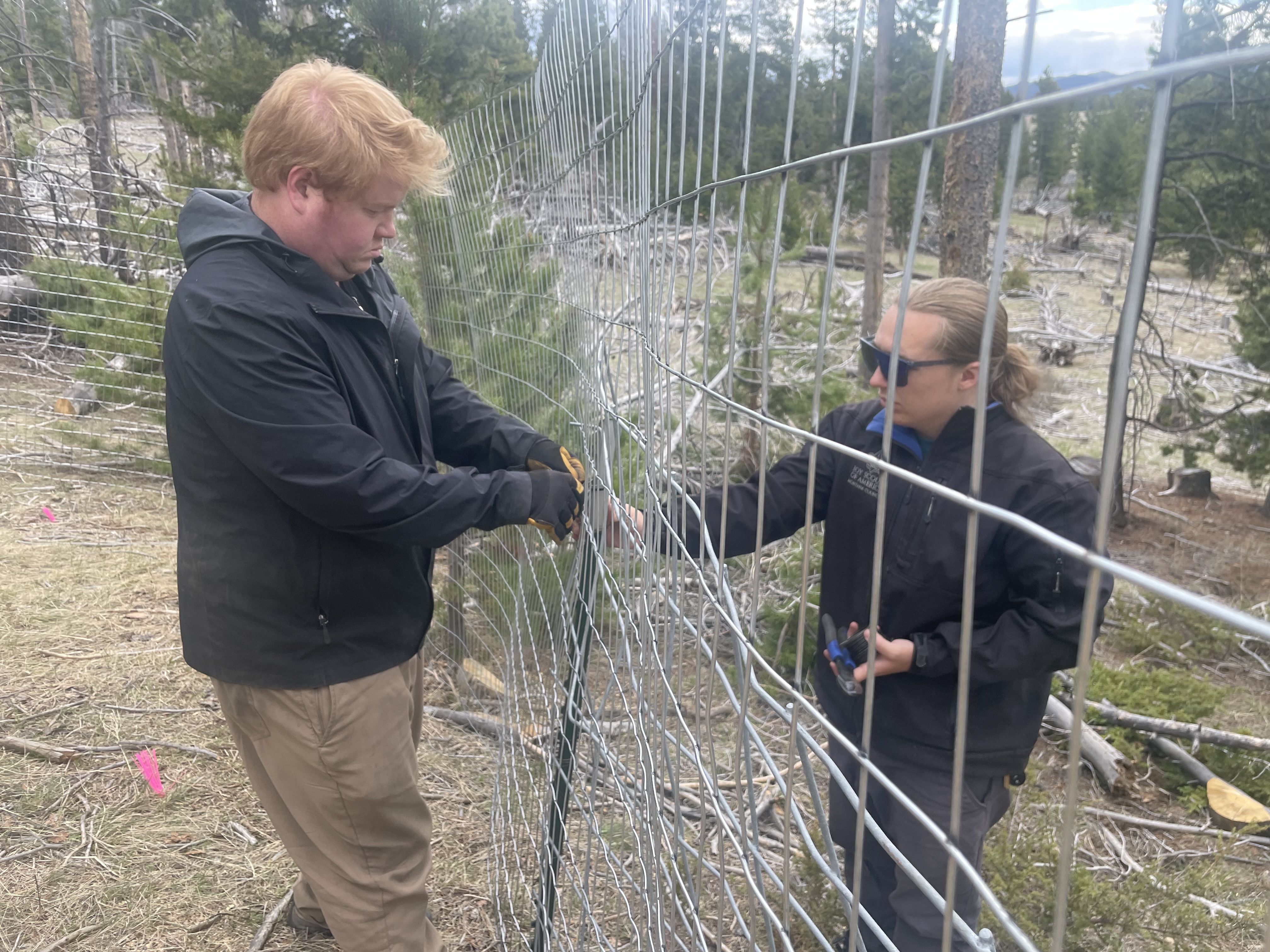 Eric & Aden building exclosure fence
