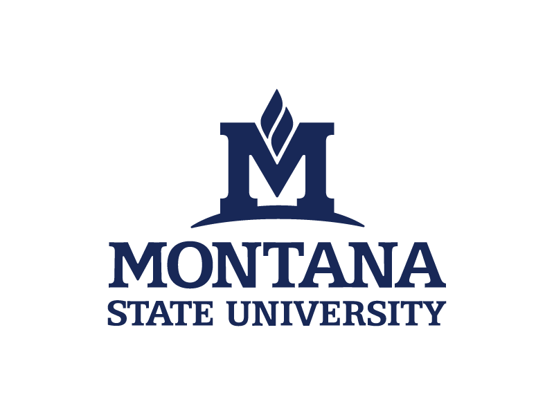 MSU logo