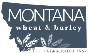 MSU logo