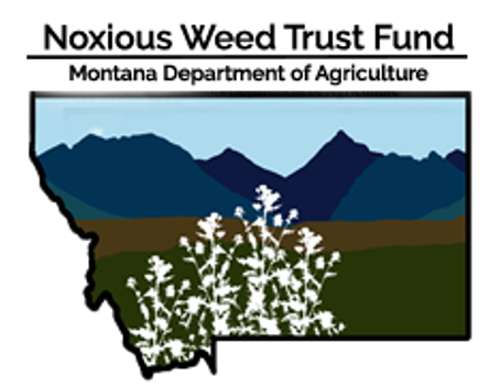 MTNWTF logo